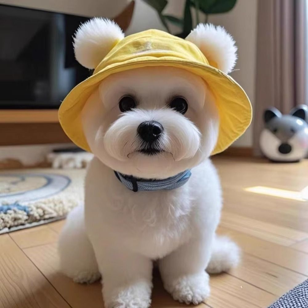 Topi Matahari Kucing Lucu dari - Bucket Hat Cotton ulasan dan harga